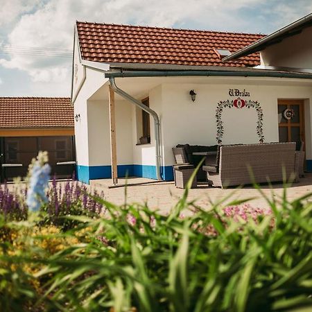 Apartman U Draba: Ubytovani Na Slovacku V Miloticich U Kyjova Milotice Ngoại thất bức ảnh