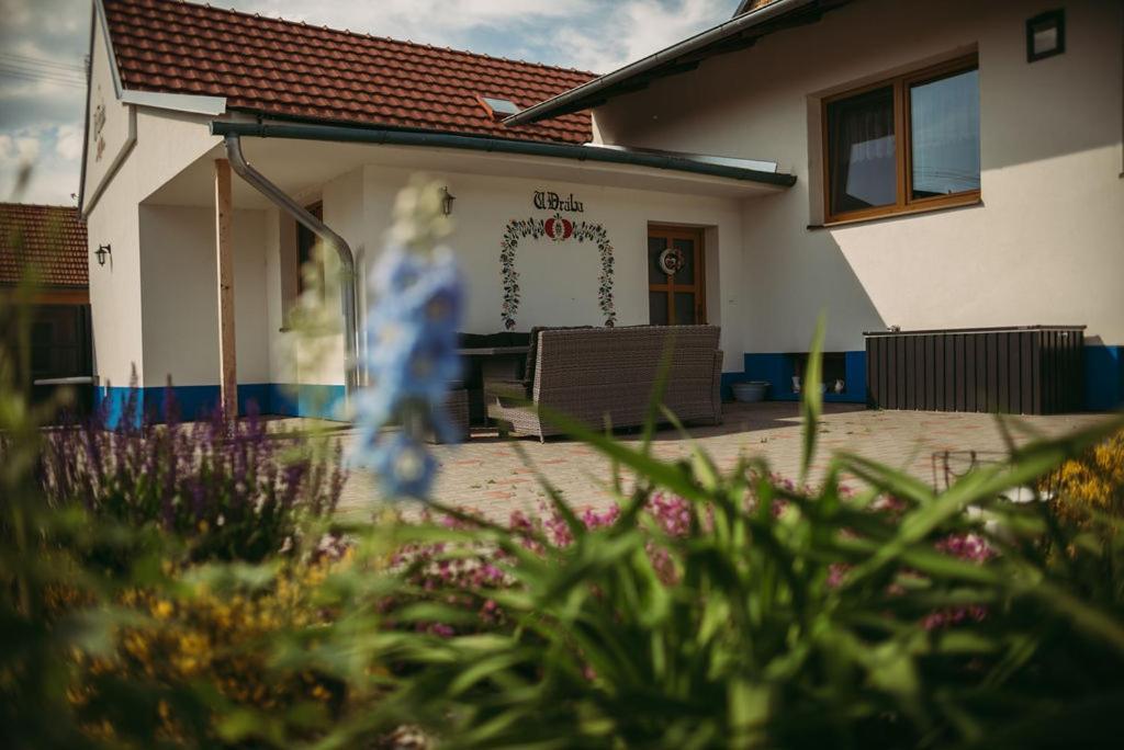 Apartman U Draba: Ubytovani Na Slovacku V Miloticich U Kyjova Milotice Ngoại thất bức ảnh