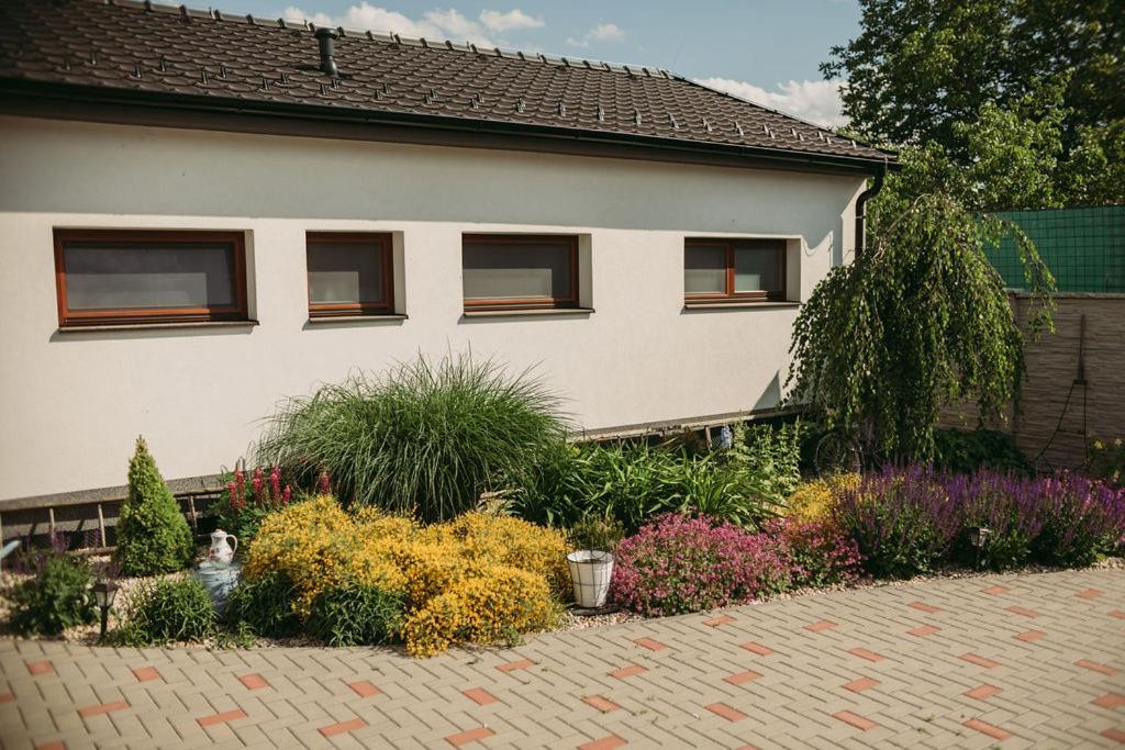 Apartman U Draba: Ubytovani Na Slovacku V Miloticich U Kyjova Milotice Ngoại thất bức ảnh